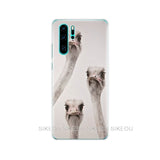 case for Huawei P30 Pro Case Silicone Phone Back Cover